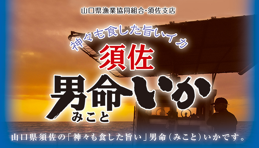 山口県漁業協同組合・須佐支店　須佐　男命（みこと）いか